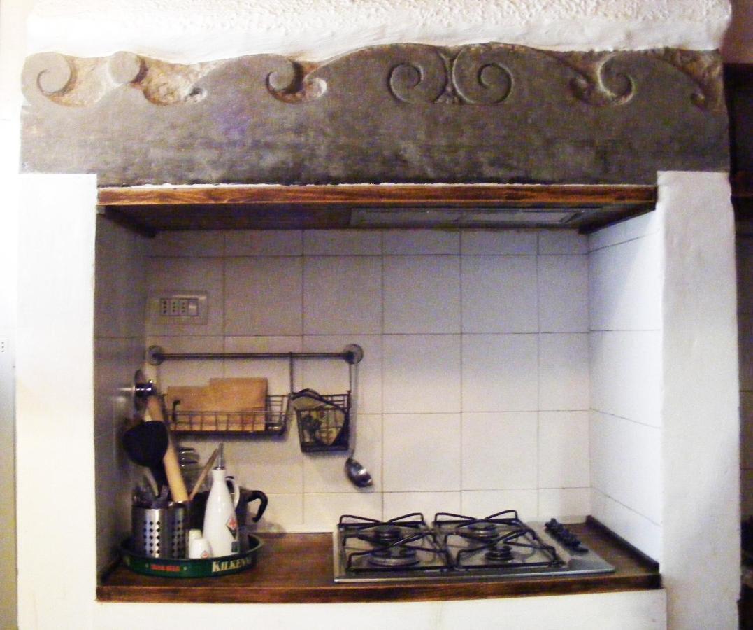 Pitti House Apartment Firenze Bagian luar foto
